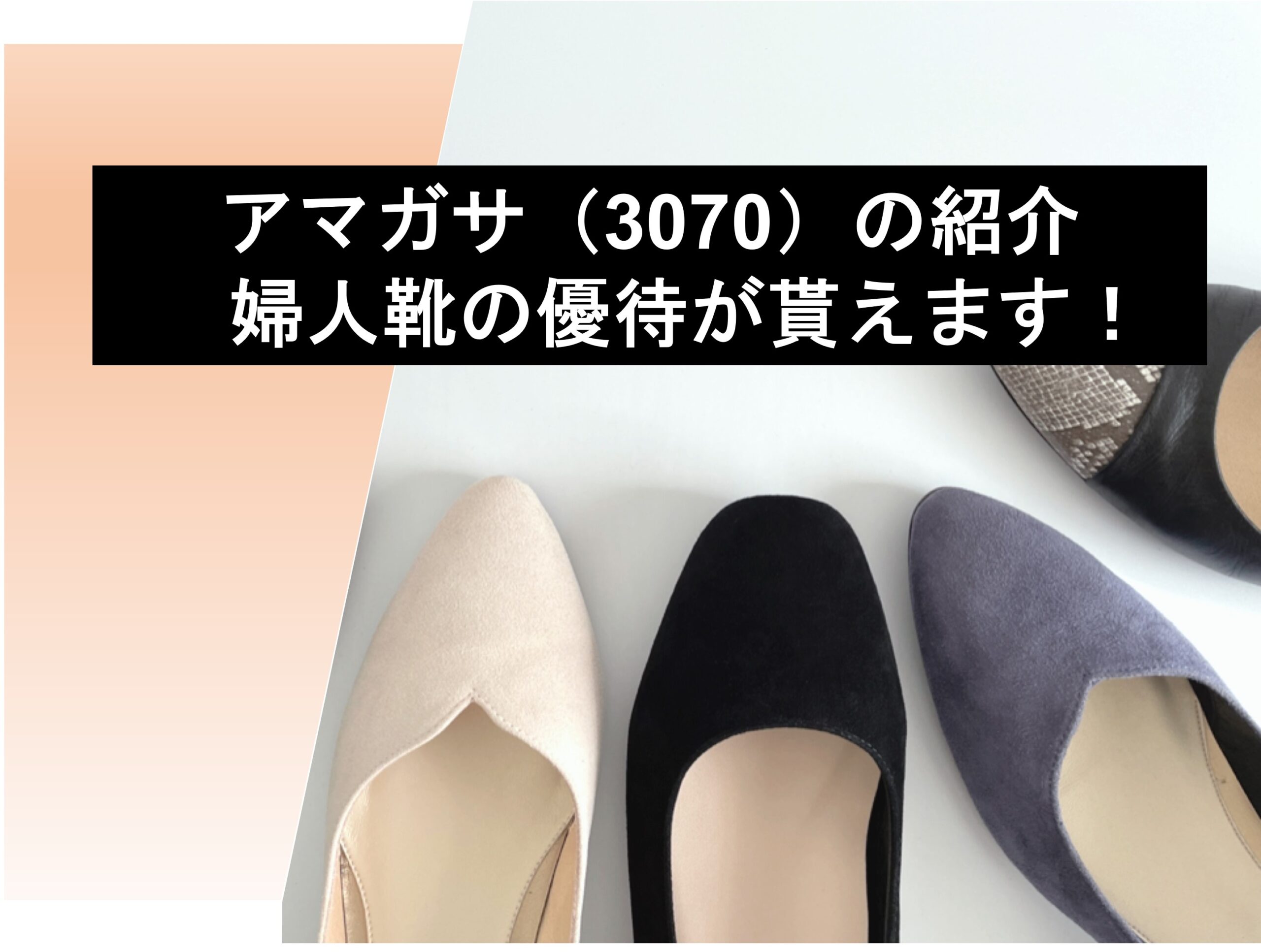 アマガサ(3070)_サムネ